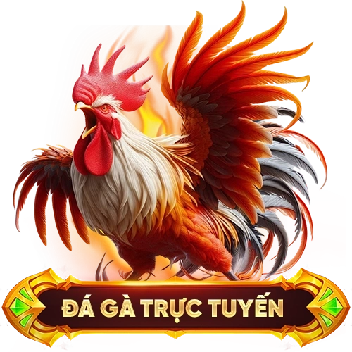 đá gà trực tuyến SV666